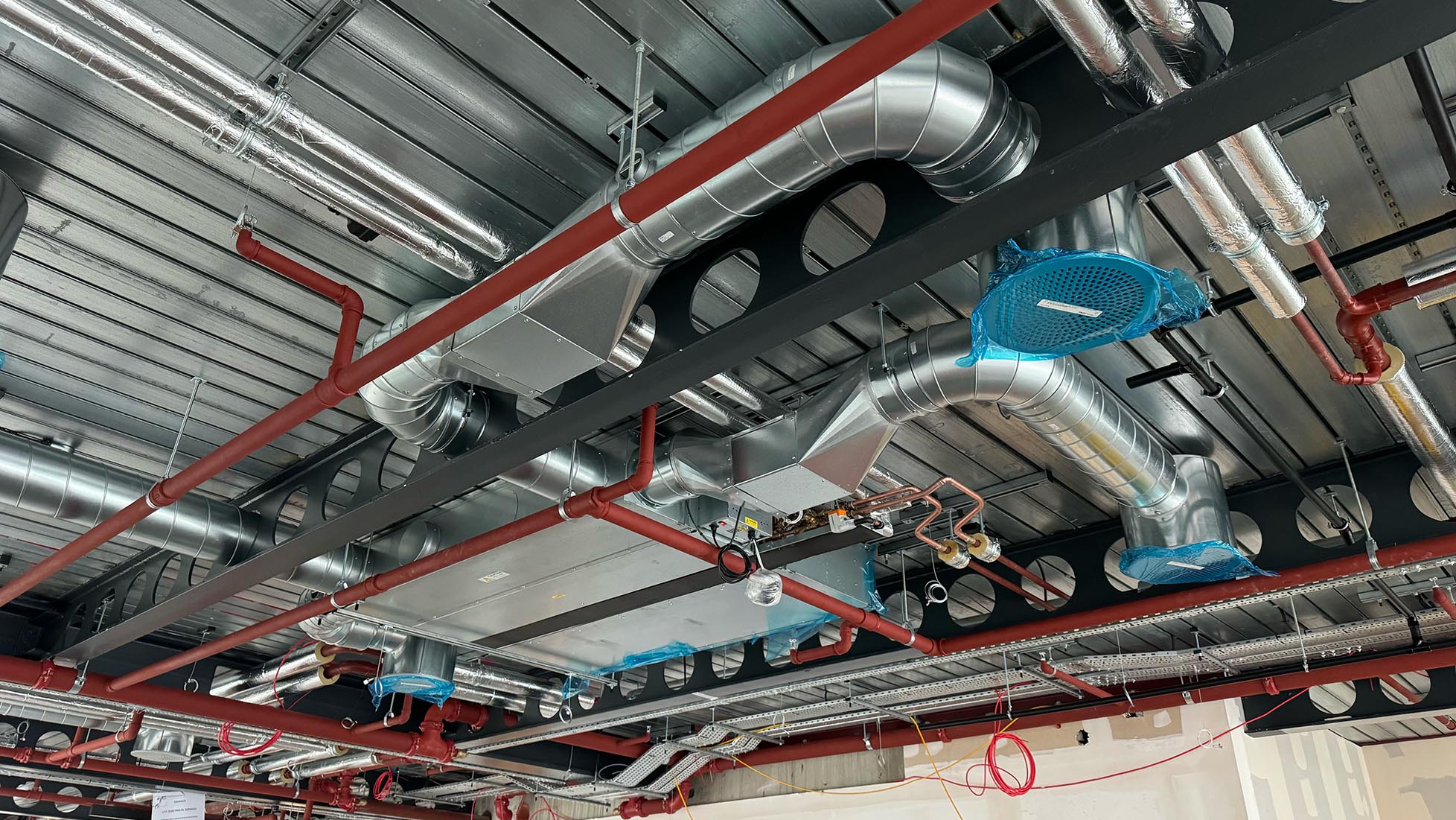 Paddington cat a fit out ventilation