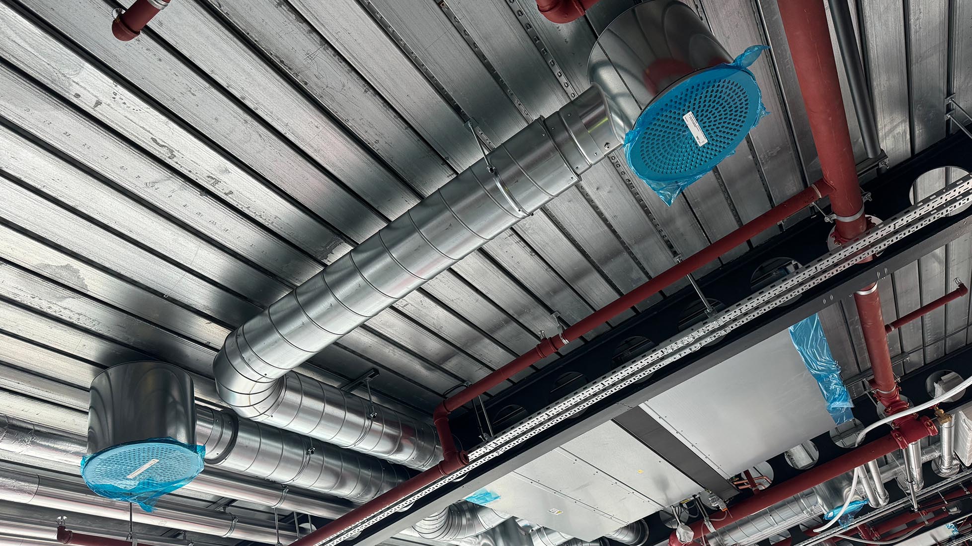 Paddington cat a fit out ventilation
