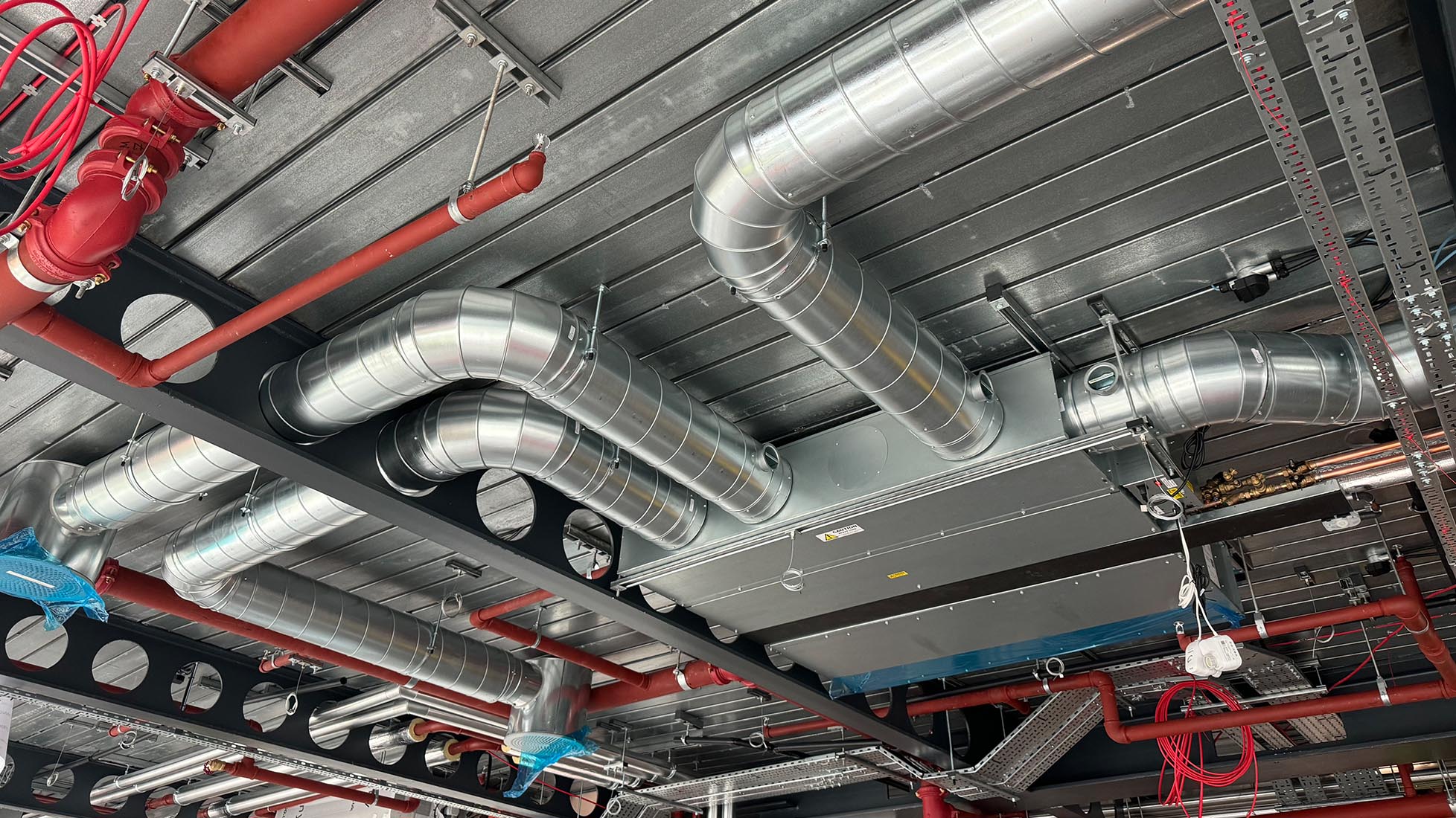 Paddington cat a fit out ventilation